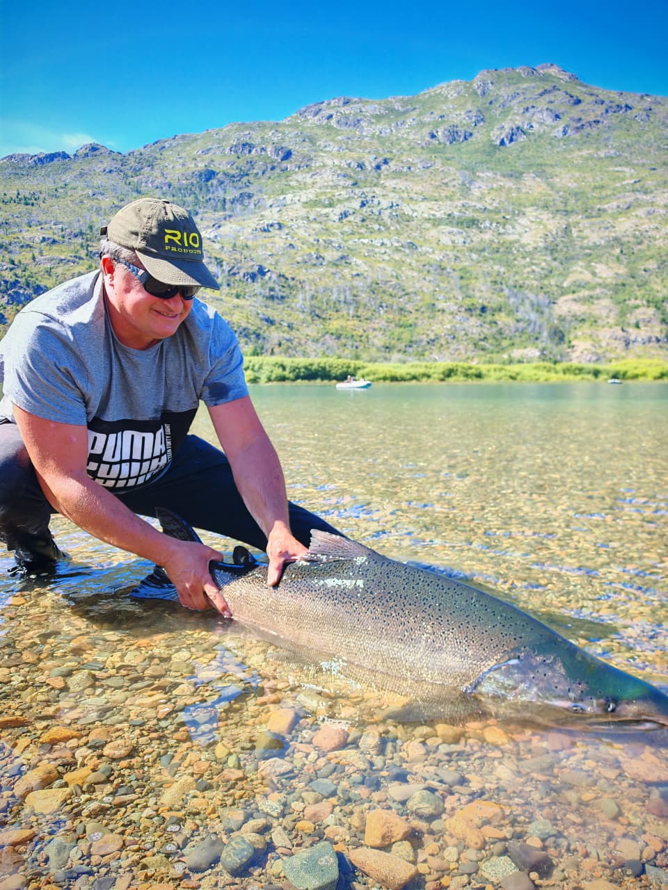 Manipulación de un salmón Chinook junto al agua